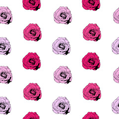 Seamless pattern with pink roses on white background