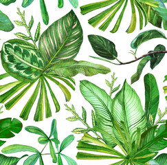  Seamless pattern with banana leaves. Tropical background with vintage tropical leaves