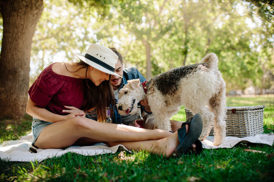 Couple playing with dog on picnic