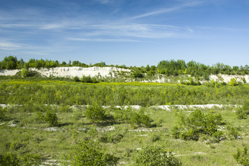 Fototapeta na wymiar Green shrubs and trees, slope of chalk and blue sky