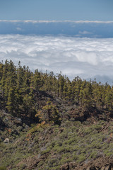 El Teide National Park
