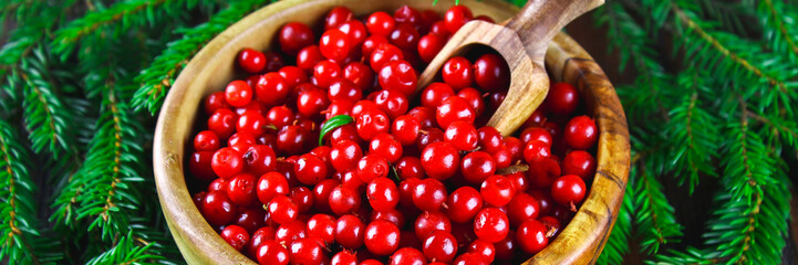 Cowberry, foxberry, cranberry, lingonberry in a wooden bowl with a scoop on a brown wooden table. Surrounded by fir branches.. Banner