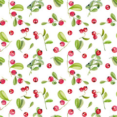 Watercolor cranberry seamless pattern, hand painted on a white background