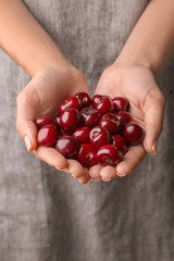 Woman holding tasty cherries, closeup