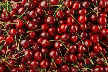 Tasty cherries as background