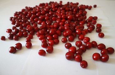 red cherry berries on a white background