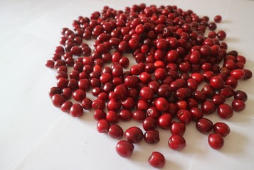red cherry berries on a white background