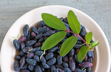 Ripe honeysuckle in Cup on wooden table
