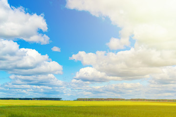 green field and clouds on blue sky in sunny day