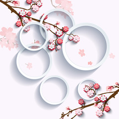 Pink flowers on sakura branch in interlacing with geometric circles. Vector illustration