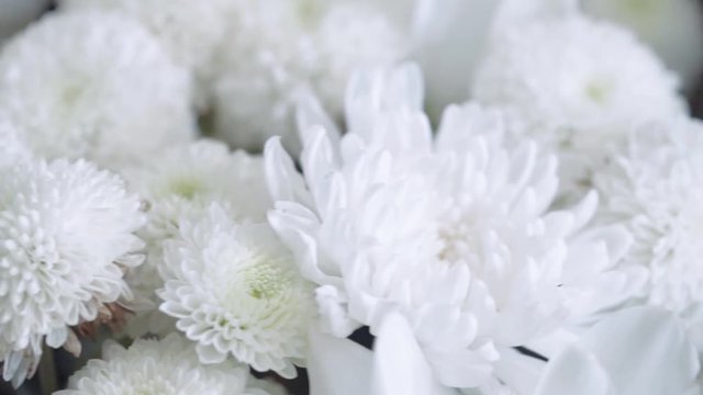 White Flower Dolly