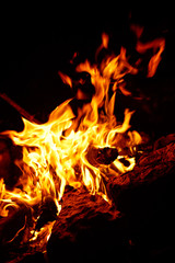 Flame of burning firewood at night in the forest.