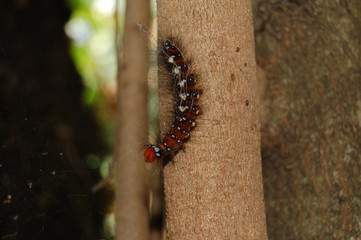 Ethiopie - Bahar Dar