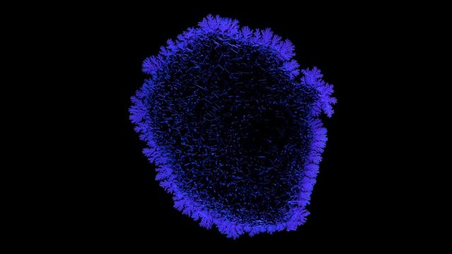 Drop drying with crystals growth. Time lapse of crystallization process under microscope. Separated on pure black background, contains alpha channel.