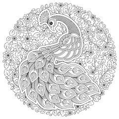 Peacock in zentangle style. Adult antistress coloring page.