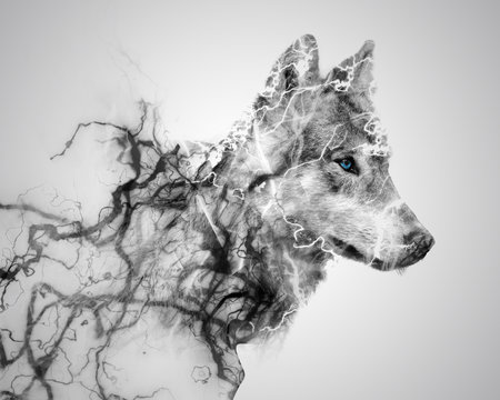 Thunder Wolf