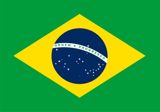The national flag of Brasil. Vector pattern, banner of Brasil. Flat standard, design element for print, wallpaper, wrapping paper, websites. Vector illustration