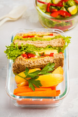 Healthy meal prep containers with cheese vegetable sandwiches, fruits and vegetable salad