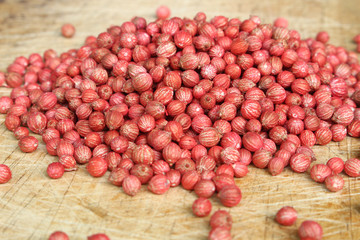 coriander seed background