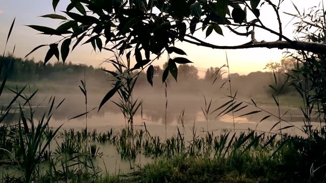 GOMEL, BELARUS. the mist spreads over the water at dawn.