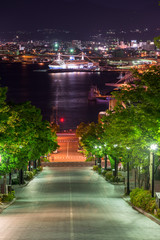 北海道函館　八幡坂夜景