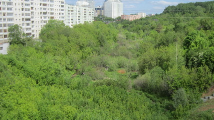 долина речки Егошихи