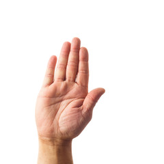 Adult male hand showing stop gesture isolated on white