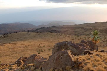 Ethiopie - Montagne Siemen
