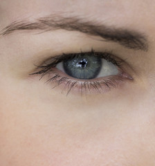 Obraz premium Beautiful blue eye girl close-up