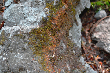 stone, texture, rock, wall, abstract, granite, nature, pattern, surface, rough, moss, textured, natural, old, brown, material, mineral, grunge, closeup, marble, rust, macro, dirty, water, backgrounds
