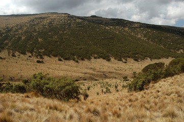 Fototapeta premium Ethiopie - Montagne Siemen