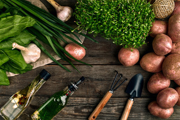Fresh potatoes, oil, garlic and spicy herbs on a kitchen wooden background. Fresh vegetables from...