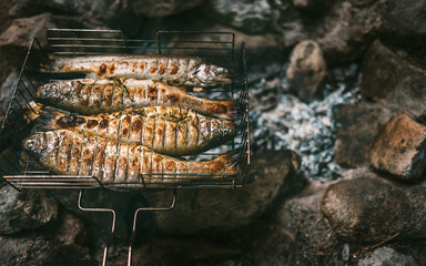 Fresh cooked trouts are in grilled grid