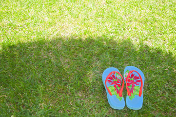 Summer flip flops on the grass