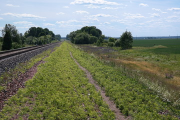 Fototapeta na wymiar Landscape with a railway