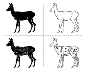 Cut of roedeer set. Poster Butcher diagram - roe. Vintage typographic hand-drawn. Vector illustration