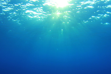 Fototapeta na wymiar Underwater 