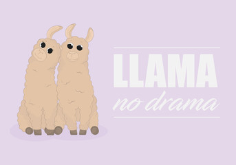 Cartoon llama. Cute lama. No dramma. Alpaca. Card on colorful background. Vector