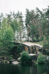 Fototapeta na wymiar beautiful pine forest on rocky cliff over calm lake