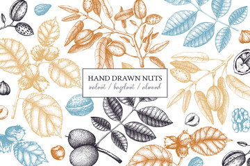 Vector design with hand drawn nuts sketches. Vintage hazelnut, walnut, almond illustrations. Organic food template for menu, packing, branding, card designs on white background.