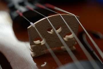 the classic violin bowed instrument