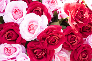 red and pink roses flower background