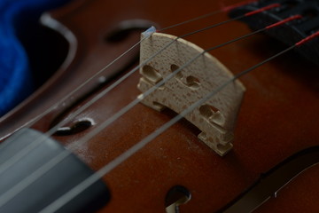the classic violin bowed instrument