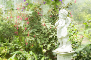 Obraz premium Young Angel Sculpture in garden