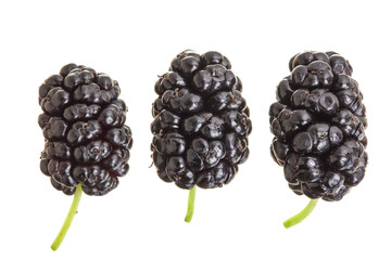 Mulberry berry isolated on white background. Top view. Flat lay
