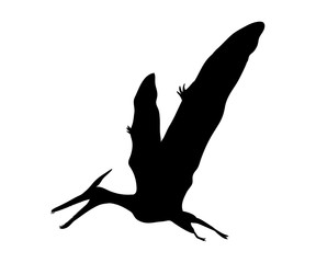Silhouette Pterosaur dinosaur jurassic prehistoric animal © KozyrevaElena