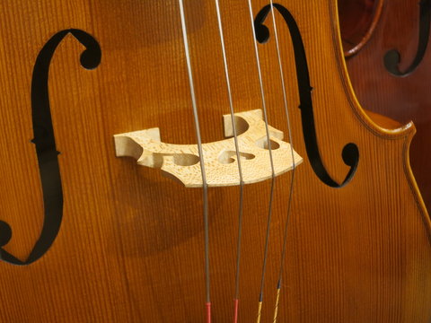 チェロ（駒、f字孔、弦）