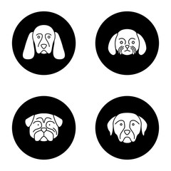 Dogs breeds glyph icons set