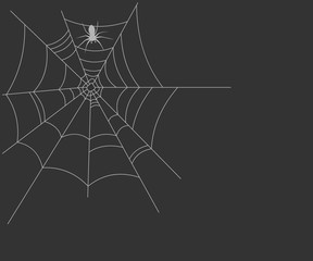 Spider's web vector