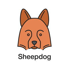 Shetland Sheepdog color icon